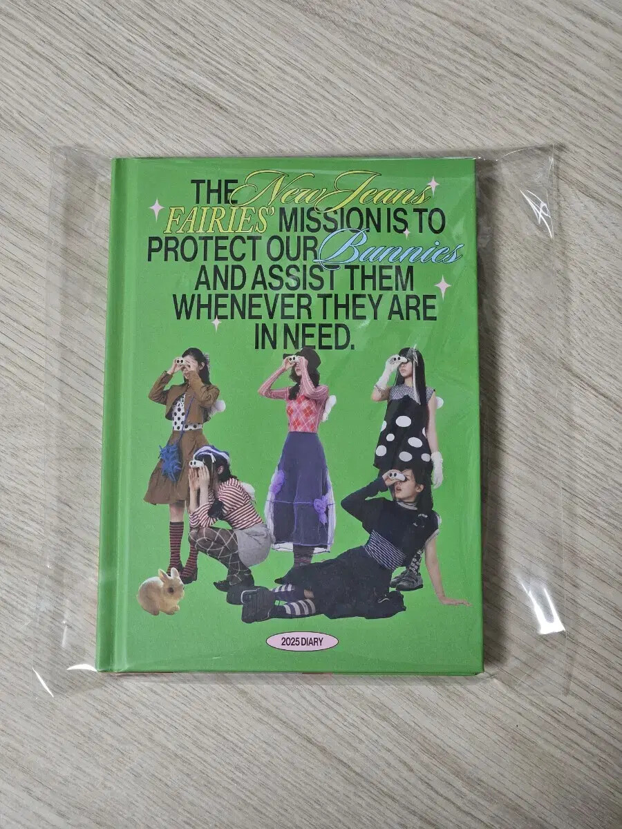 newjeans 2025 season's greetings DIARY | eBay