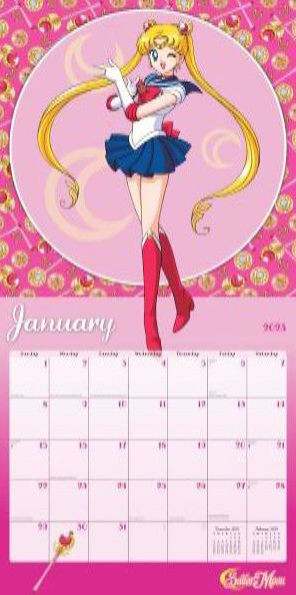 Calendar Ink Sailor Moon 2023 Wall Calendar NEW SEALED! | eBay