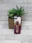 Maybelline Instant Age Rewind Eraser, 130