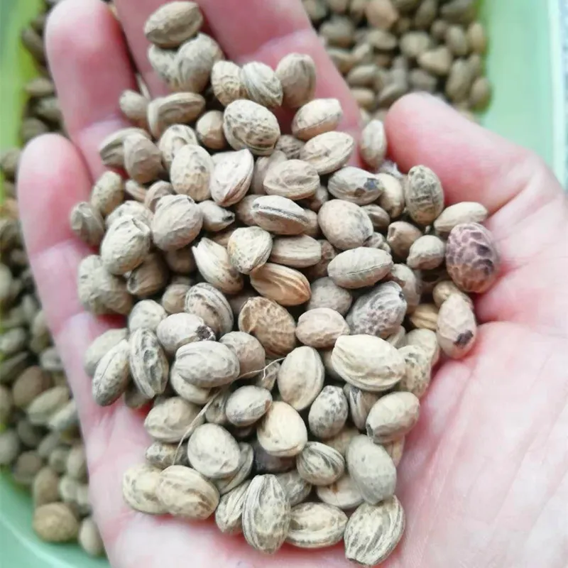 organic plant seeds Organic Jewels of Opar