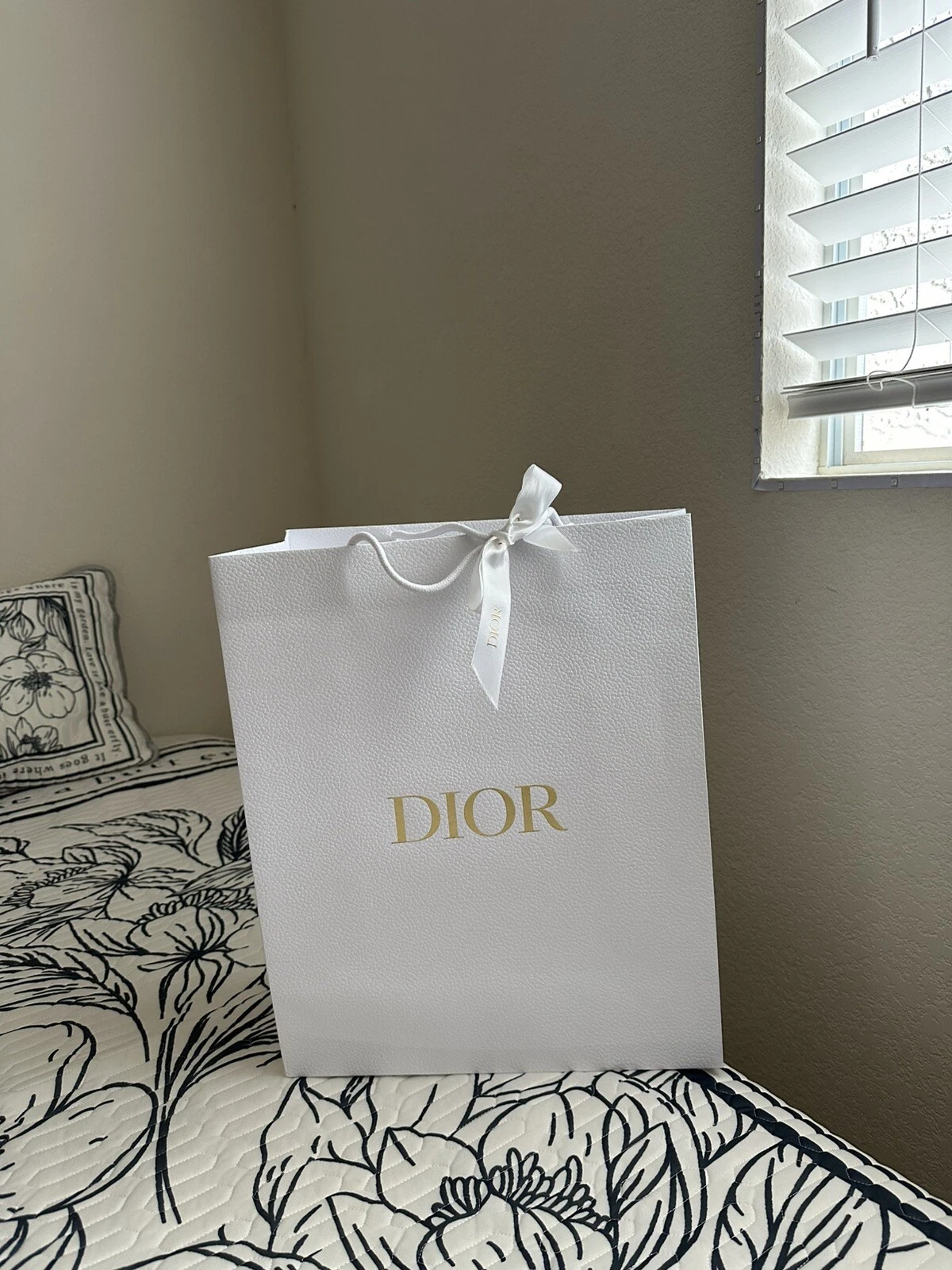 sac cadeau shopping dior. pls vérifier mon placard pour plus d'objets.