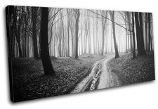 Forest Road Landscapes SINGLE CANVAS WALL ART Picture Print VA