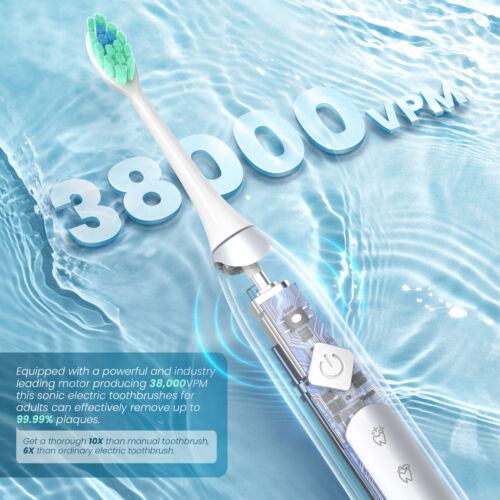 SEJOY Sonic Electric Toothbrush Rechargeable Travel Case 5 Modes 10 Brush Heads - Picture 7 of 17