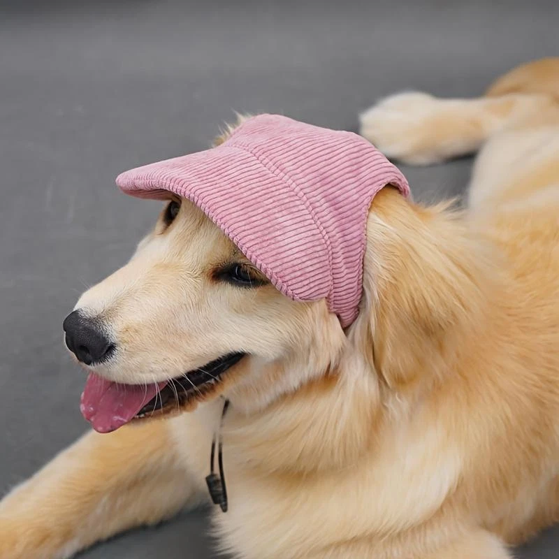 Gorra de béisbol ajustable para perros deportes al aire libre sombrero suave transpirable mascota sombrero para el sol con Foto 4 de 4