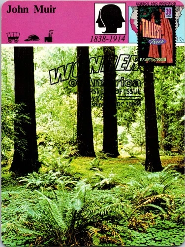 Dr Jim Stamps Maximum Card Tallest Tree Coast Redwoods 39C Fdc