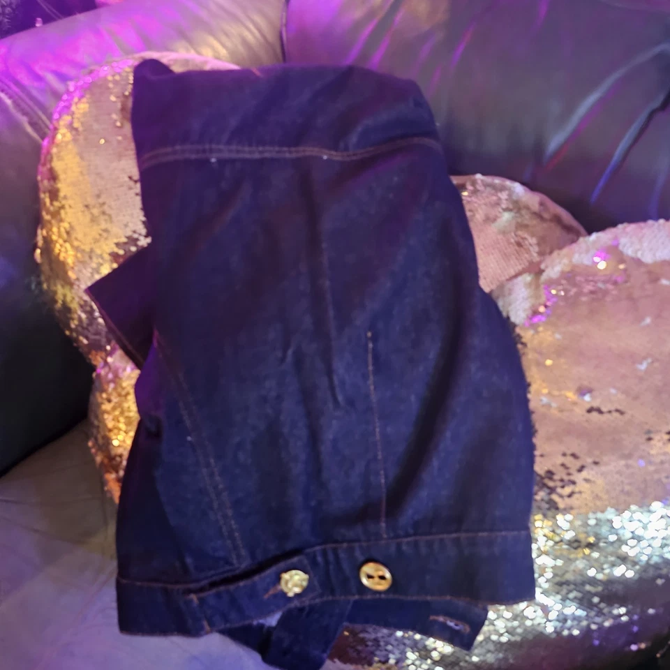 Chaqueta inspirada en el denim Schiaparelli pequeña se adapta a busto de 40 pulgadas Foto 4 de 4