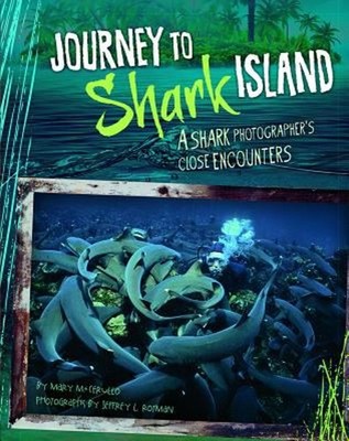 Journey to Shark Island : A Shark Photographer's Close Encounters