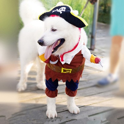 small dog outfits cheap