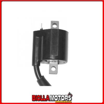 0076107 BOBINA AT ESTERNA YAMAHA YQ Aerox R E2 50CC 2003/2012 12v