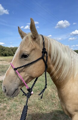 mule tape halter. Diamond Double W handmade halters. Three colored nose band. 