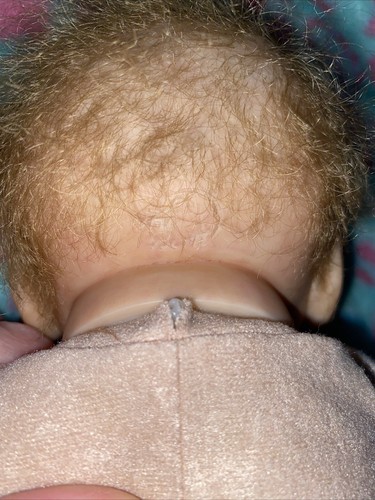 Reborn Cassie By Alicia Toner Truborn Baby Doll - Picture 14 of 19