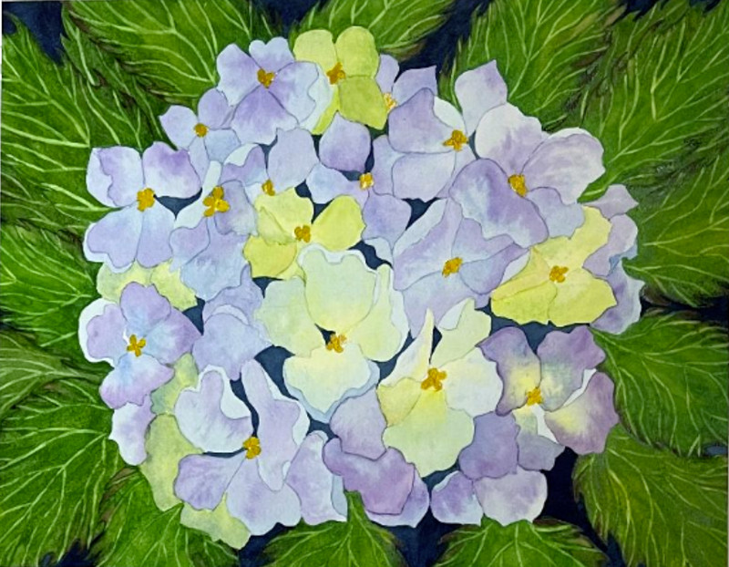 PAINTING WATERCOLOR ART FLOWER HYDRANGEA PURPLE LAVENDER 11X14 & MAT 16X20 ART