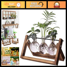 "3 Glass Bulb Vases Propagation Station with Wooden Stand - Boho Desktop Planter