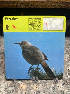 Thrasher, 1976 Editions Recontre 4 3/4'' x 4 3/4'' Card