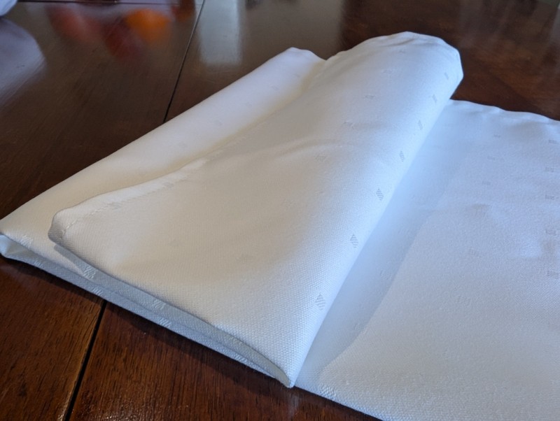 10 pieces deal 100% Soft White Cotton Dotted Napkin 20 x 20 inches 20" x 20"