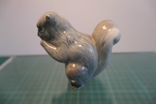 Branksome grey squirrel with nut