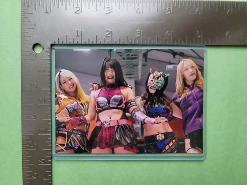 Momo, Rina, SLK, & Saki Women's Pro Wrestling Photo 3.5×5" Portrait Stardom - 第 1/1 張圖片