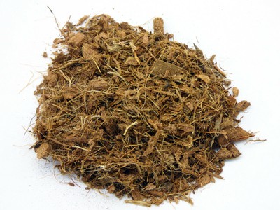 hognose snake bedding