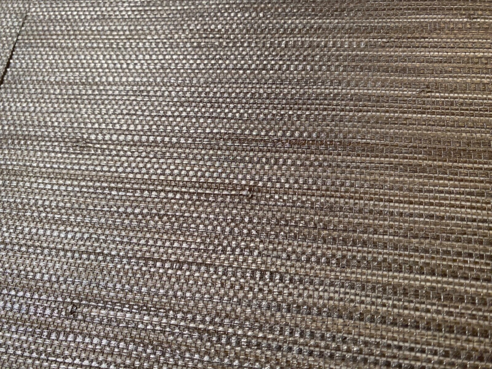 Picture 8 of 24