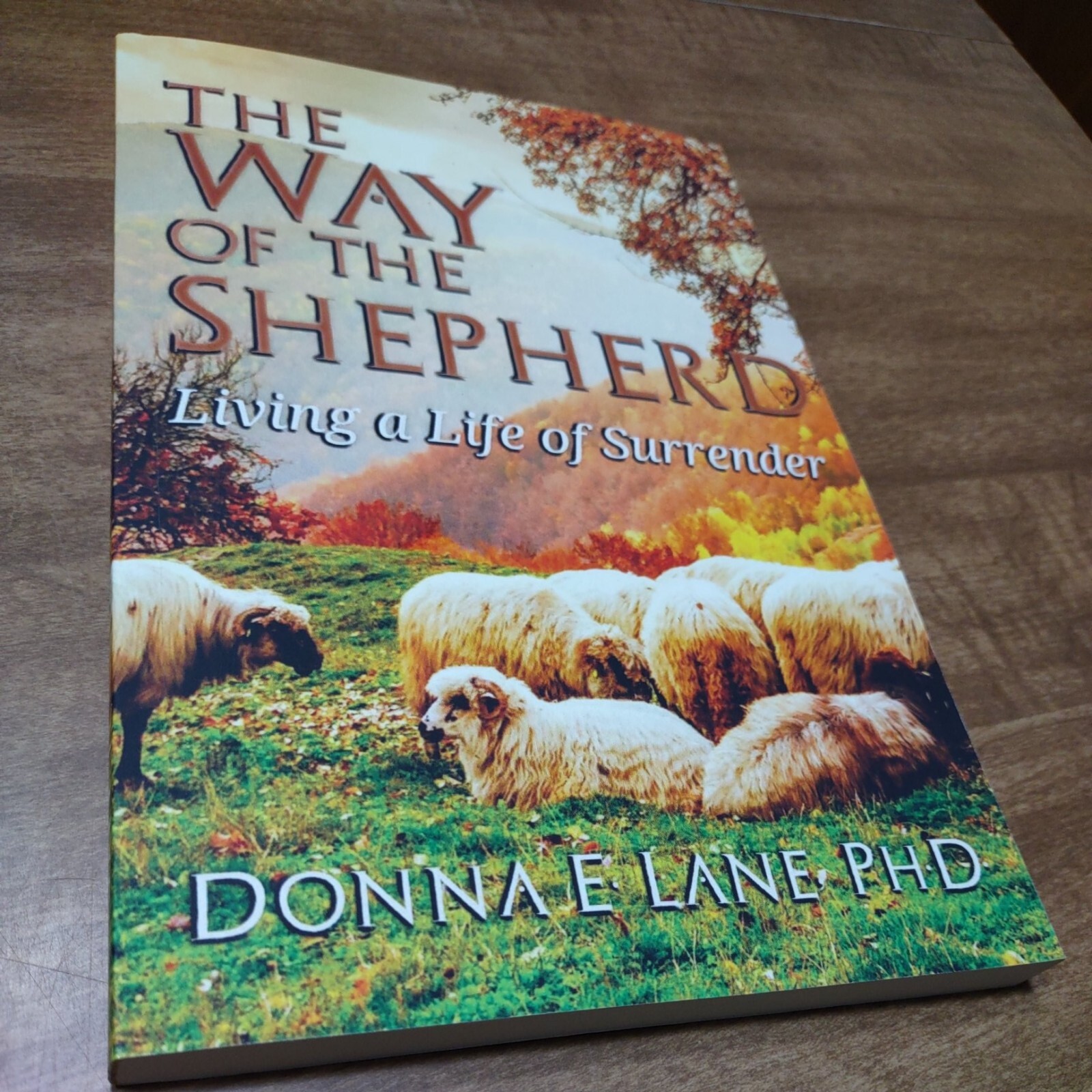 The Way of the Shepherd Living a Life of Surrender