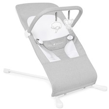 Baby Delight Highland Baby Bouncer  Infant  0   6 Months  3-Position Recline