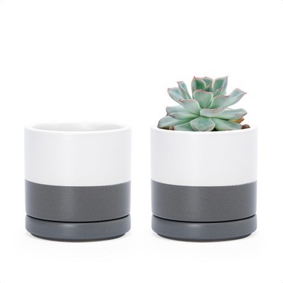 Set of 2 Ceramic Plant Pots with Drainage, 3.5 Inch White and Grey Planters