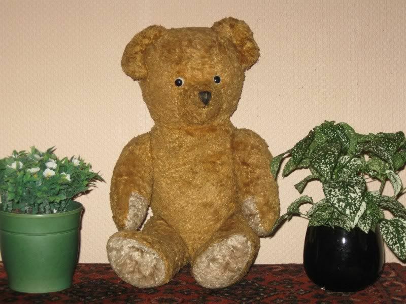 Antique 1930s Dutch Van Gelden Jointed Teddy Bear Light