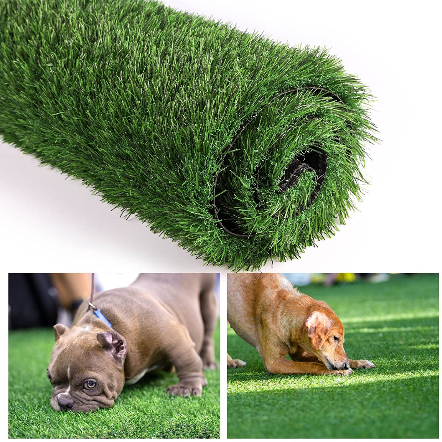 GRASSCLUB Artificial Grass Manufacturer direct delivery Rug for Dogs 40 in X unisex 1. 28 Turf