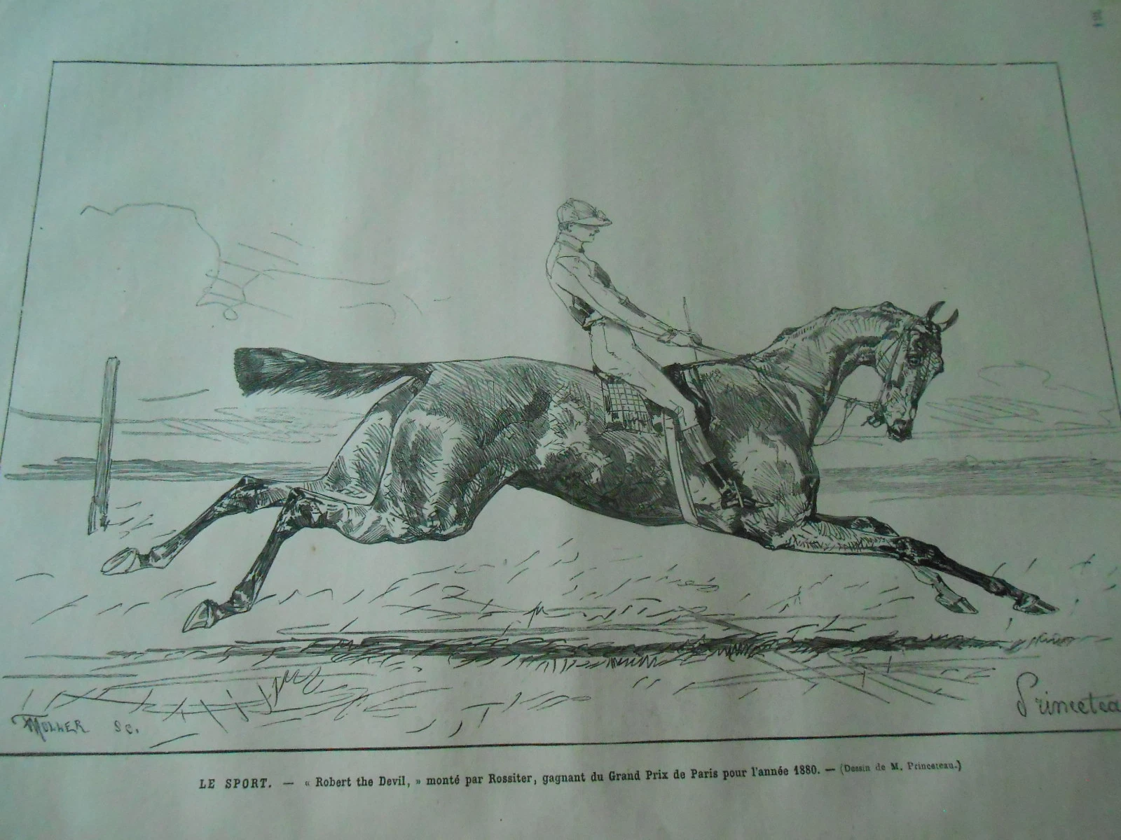 Photo 1/1