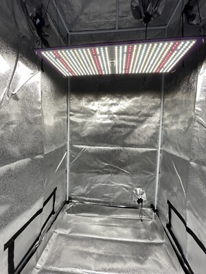 BudGrow Pro light and tent 240W Samsung grow light and 2.7'x2.7' 600D Mylar tent