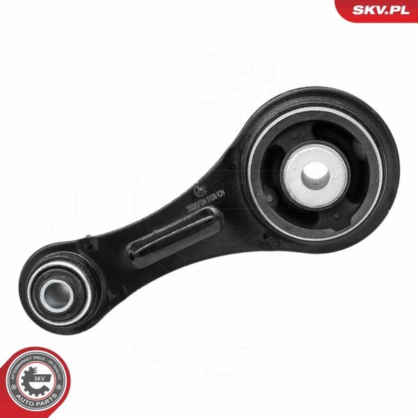 Esen SKV Motorlager Hinten Passend FüR Renault Clio Kangoo Thalia | 75SKV134-image