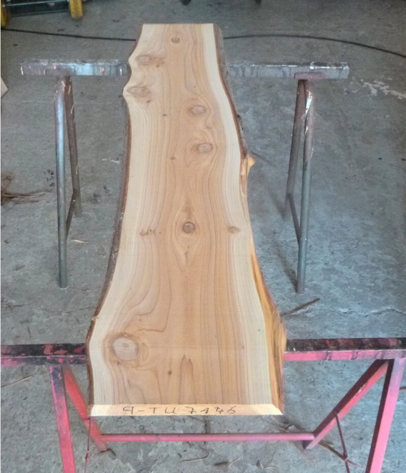 Thuja Holz in Sonstige Holz & Holzwerkstoffe online kaufen | eBay.de