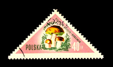 Poland Stamps Sc 844 Mushrooms 40 Gr 1959 Used OG