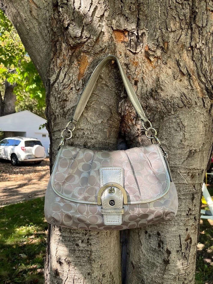 Coach Soho Hobo Bag for sale | eBay
