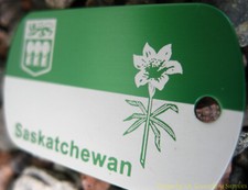Saskatchewan Trackable Geocaching Dog Tag Canada's Provinces, Green Finish 