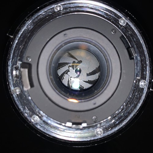 Nikon Vivitar 70-210mm Macro zoom lens and HOYA 62mm Skylight Lens - Picture 7 of 7