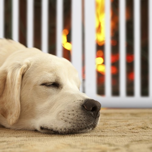 Absperrgitter Treppenschutzgitter Hundeschutzgitter Türschutzgitter Hund faltbar - Bild 6 von 10