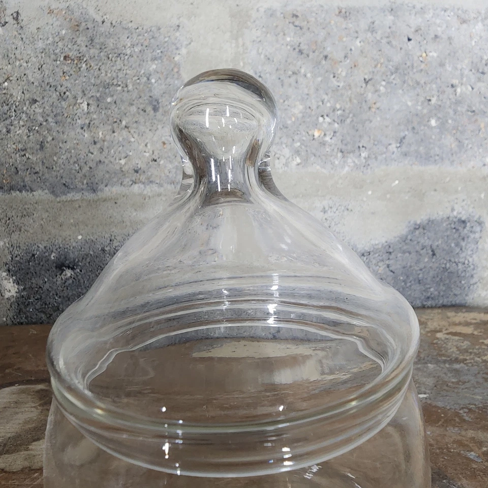 Прозрачная стеклянная аптекарская банка с крышкой - высота 7 дюймов - Изображение 2 из 4