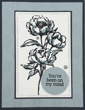 Stampin  Up Every Occasion