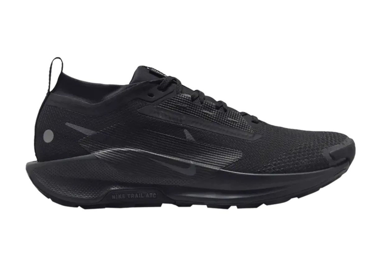 Nike Pegasus Trail 5 GORE-TEX Black Anthracite for Sale