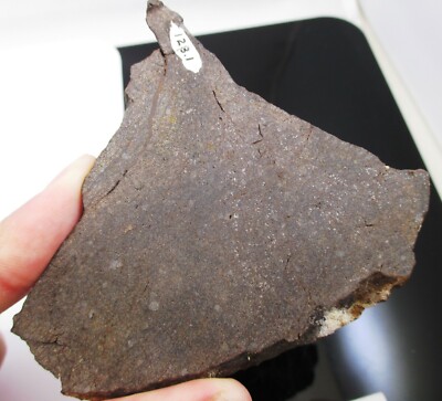 Les Météorites Duo Lakewood meteorite slice - 60.6 gram - L6 - Ex