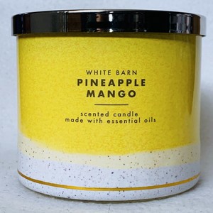 pineapple mango candle bath and body works