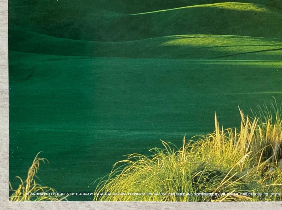 Póster PGA West Nicklaus Resort Course Vintage Golf Estampado Delgado 12 x 36 Foto 4 de 4