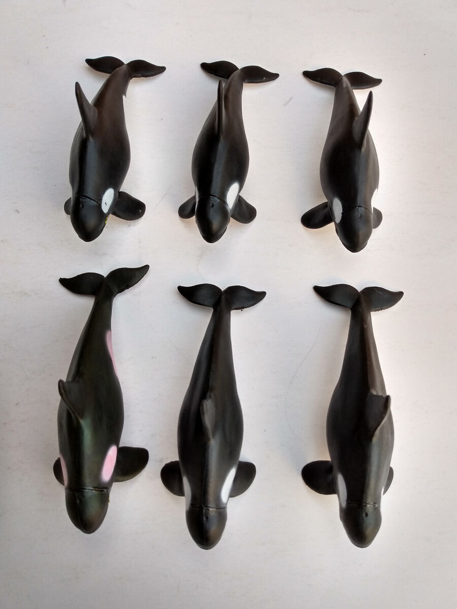 Whale Pod Orca Killer Whale Adult Calf Big Lot Marine Whale Pod Orca Killer Whale Adult Calf Big Lot Marine