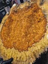 Amboyna Burl Exotic guitar top wood or bass figured wood luthier Stratocaster