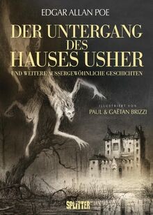 Der Untergang des Hauses Usher (illustrierter Roman... | Buch | Zustand sehr gut