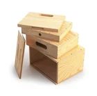 Mini Apple Box Nested Set|Udengo