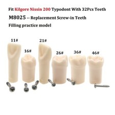 10Pcs Kilgore Nissin 200 Typodont Dental Replacement Screw-in Teeth Model M8025