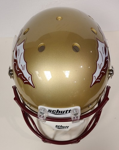 Football Helmet Full Size Florida State Seminoles Schutt (Used As Display) - Picture 5 of 9