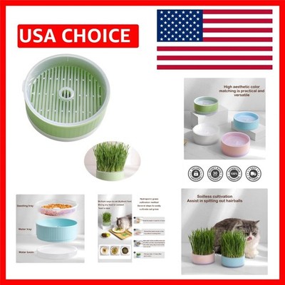 Modern Hydroponic Cat Grass Planter - Soil-Less, Quick Growth, Tabletop Design